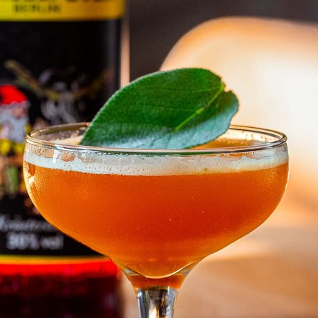 Ein elegantes Cocktailglas mit einem leuchtend orangefarbenen Getränk, garniert mit einem frischen Blatt.