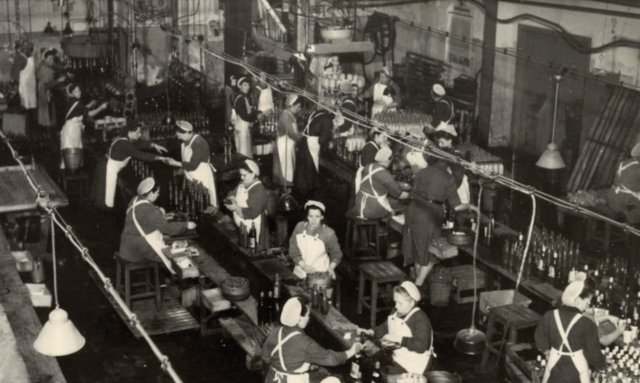 In einer Fabrik arbeiten mehrere Frauen an Fließbändern, um Flaschen zu befüllen und zu etikettieren, während sie konzentriert sind.