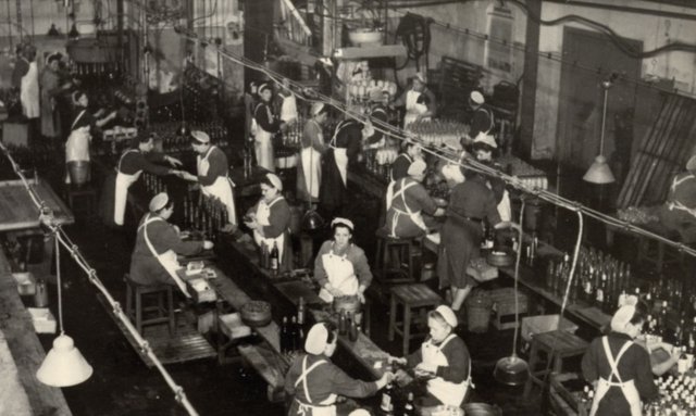 In einer Fabrik arbeiten mehrere Frauen an Fließbändern, um Flaschen zu befüllen und zu etikettieren, während sie konzentriert sind.